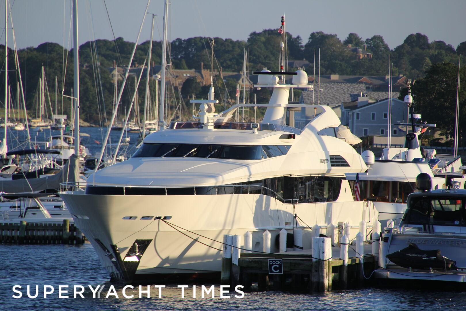 Blacksheep in Newport