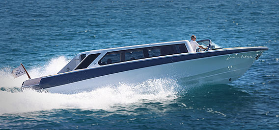 Vikal Limousine 11.5M thumbnail