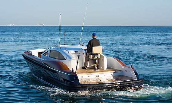 Vikal Hybrid Limo 10.5M thumbnail