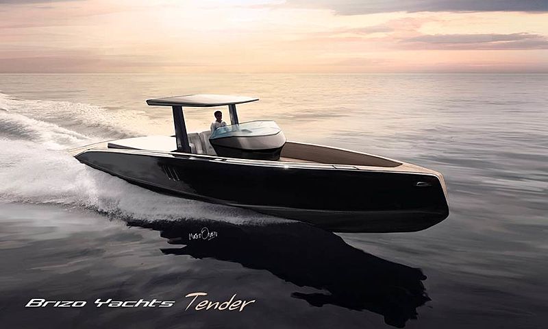 open Brizo BY40 Tender image