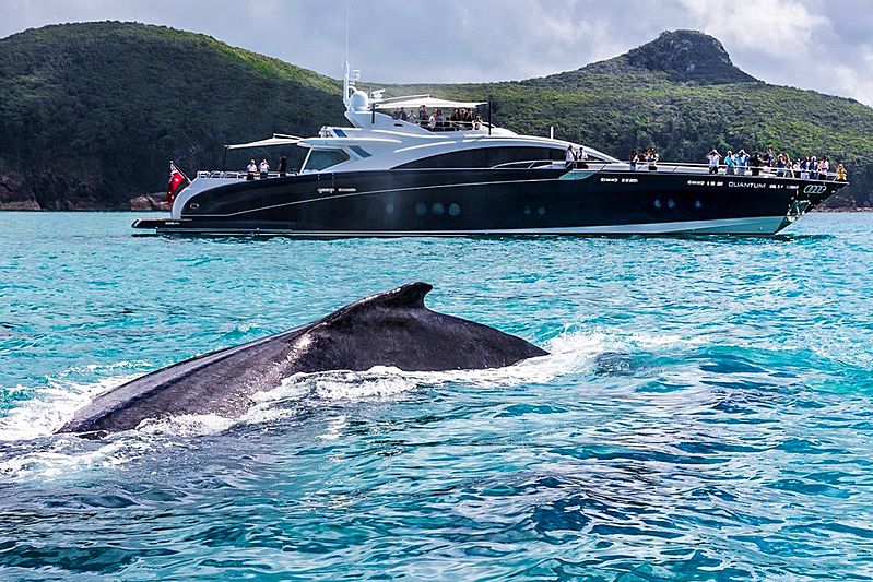 why does Peter Drew own the Largest Yacht in Monaco? Maintenance Services