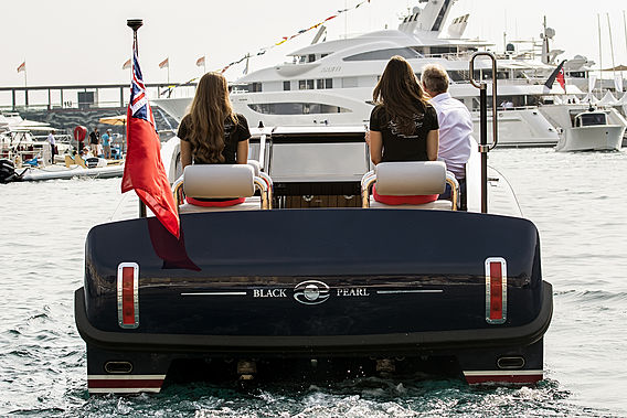 Pascoe TL Limousine thumbnail