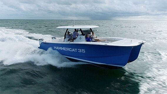 HammerCat 35 thumbnail