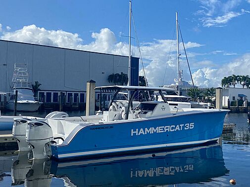 HammerCat 35 thumbnail