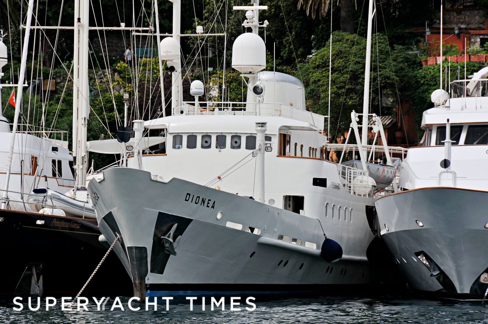 Dionea in Portofino
