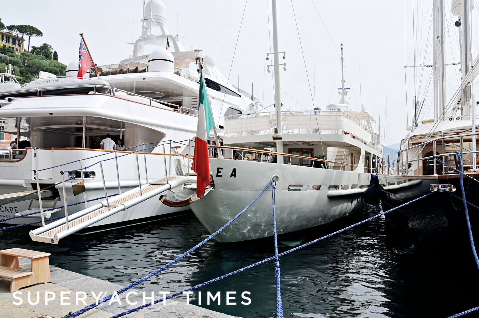 Dionea in Portofino