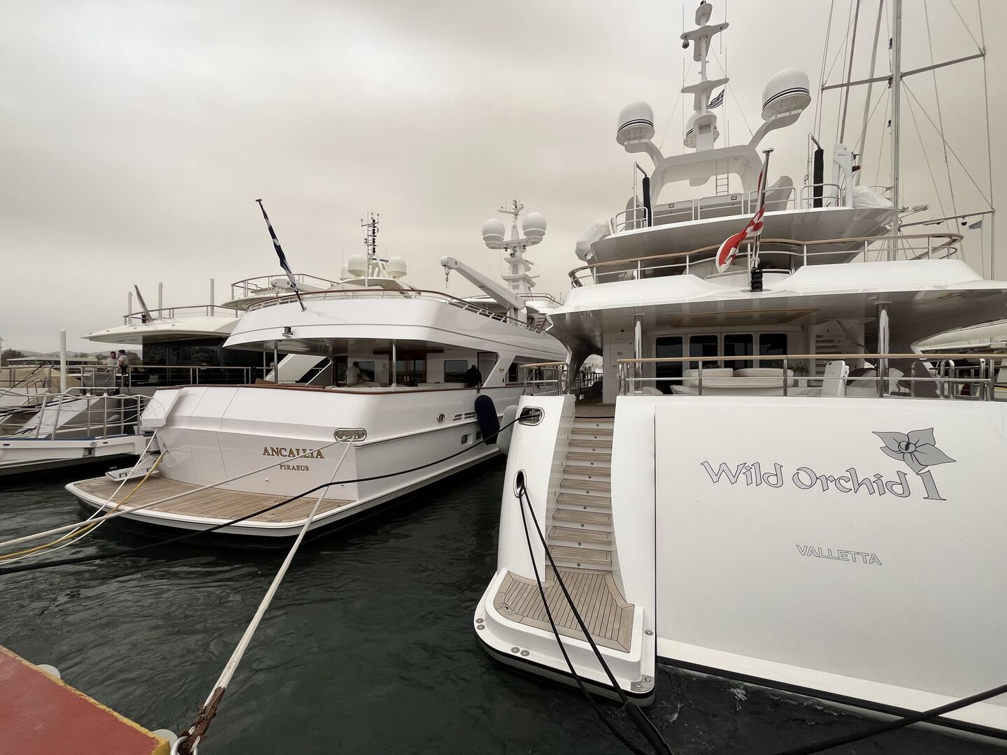 Wild Orchid I yacht stern