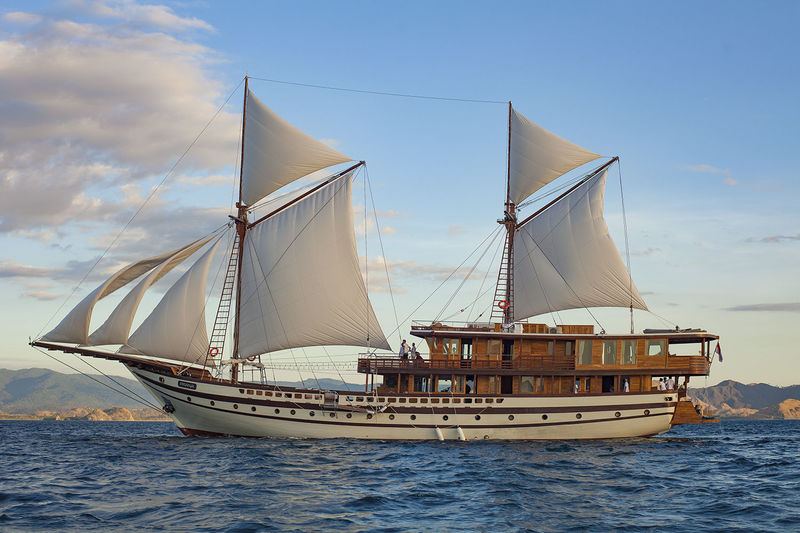 Prana trawler on sale